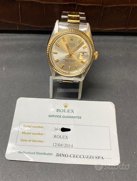 cerco rolex subito